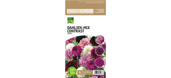 Dahlien-Mix Contrast