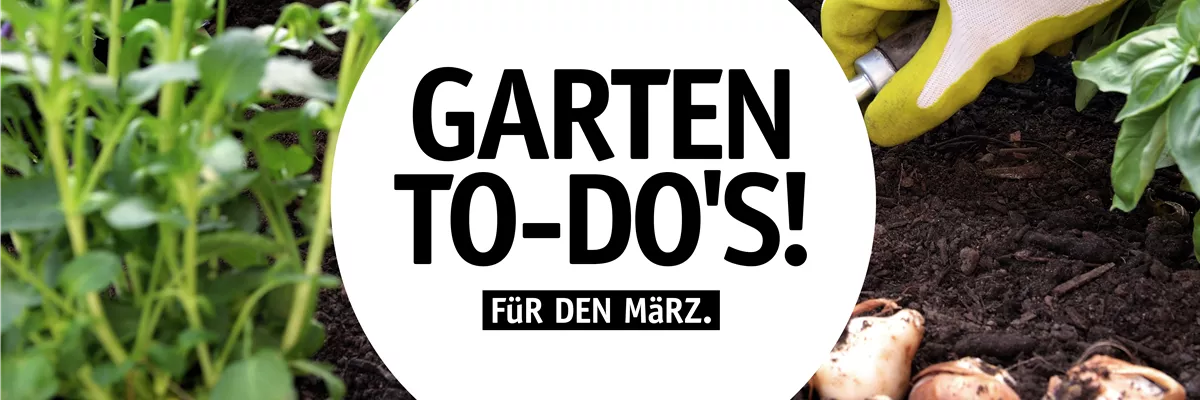 Garten To-Do's für den März🌱 