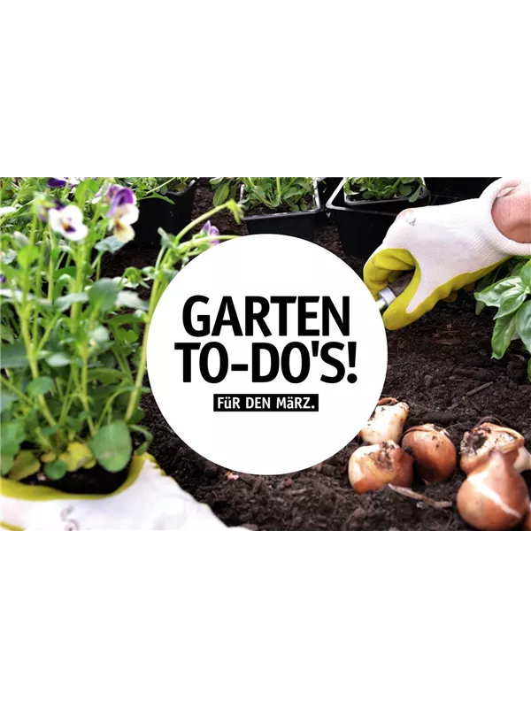 Garten To-Do's für den März🌱 