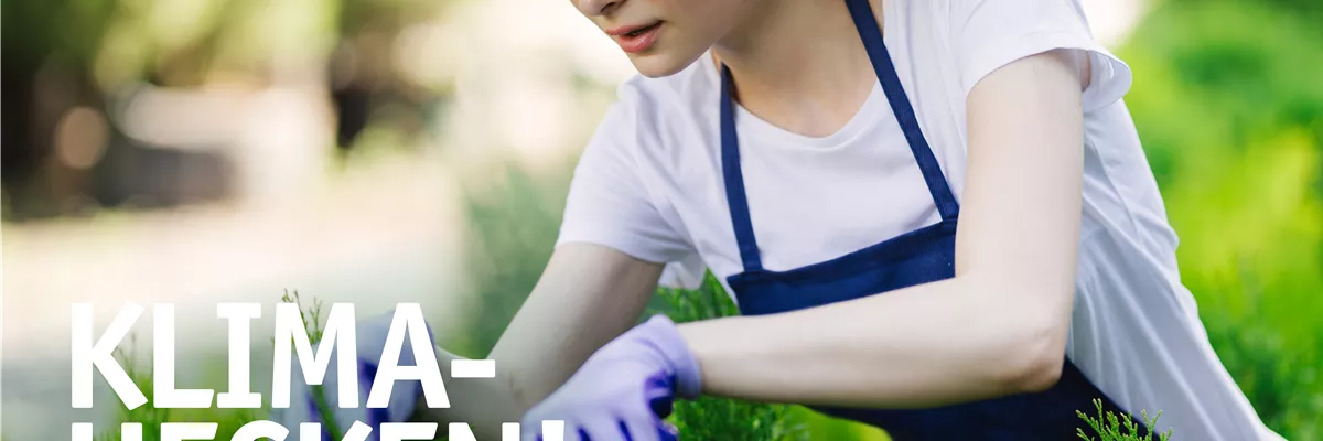 Klimahecken – Zuhause im Grünen 🌿