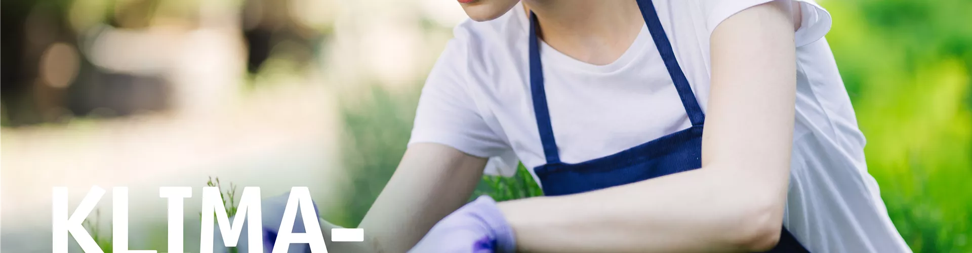 Klimahecken – Zuhause im Grünen 🌿