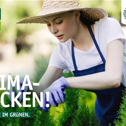 Klimahecken – Zuhause im Grünen 🌿