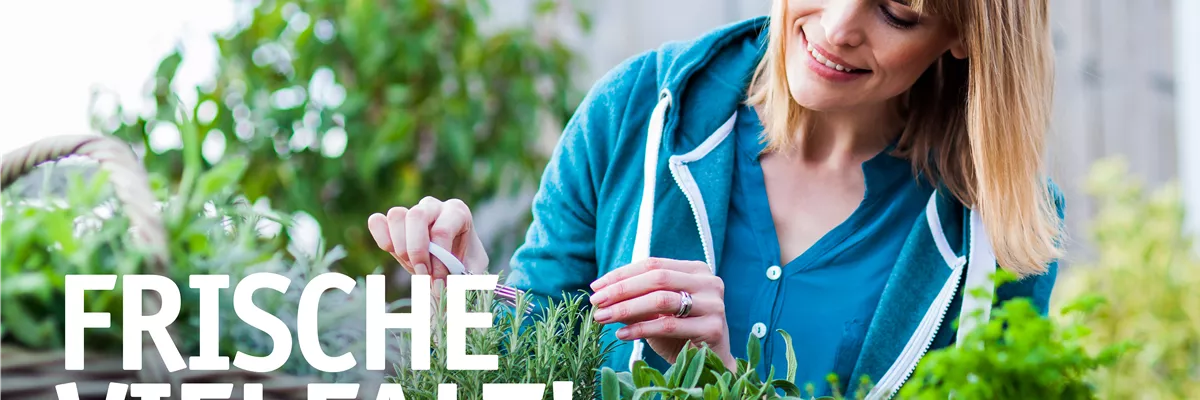 Kräuter für alle Sinne 🪴