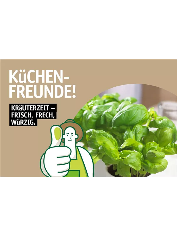 Flyer Kräuter 🌿 