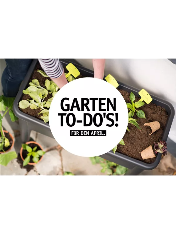 Garten To-Do’s für den April 🌱