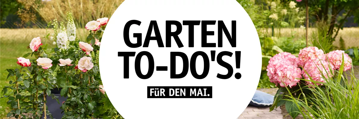 Garten To-Do’s für den Mai 🌱