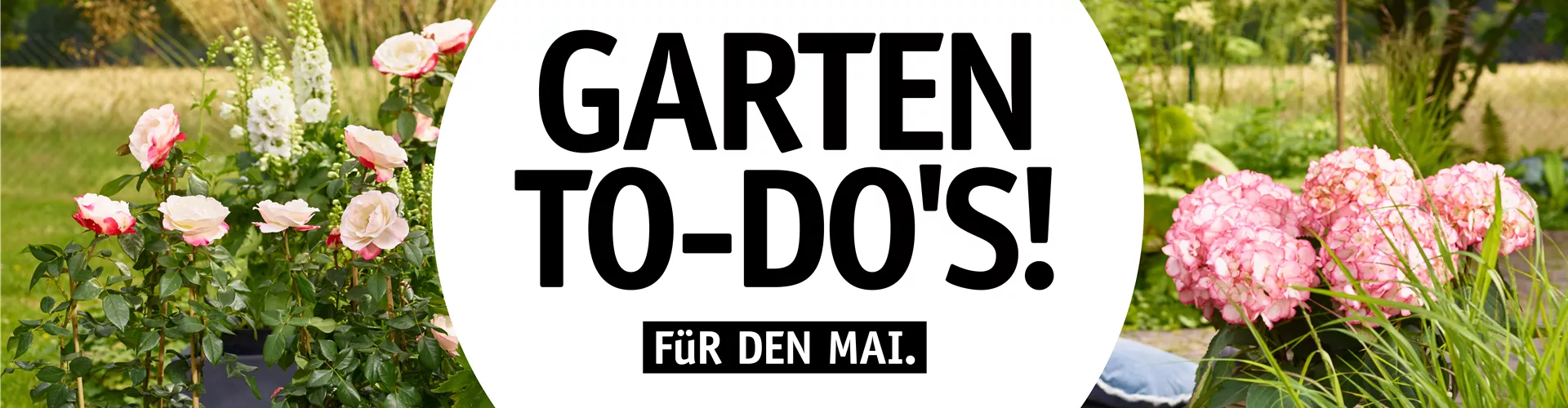 Garten To-Do’s für den Mai 🌱