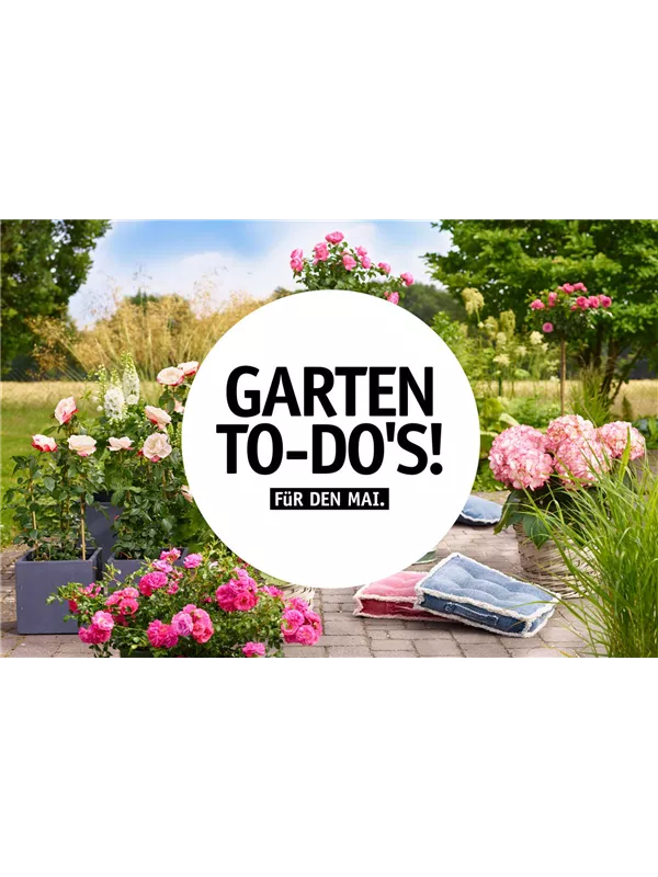Garten To-Do’s für den Mai 🌱