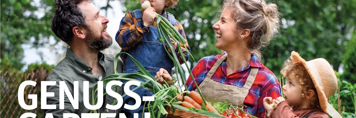 Dein Weg zur Gemüsepracht 🌱