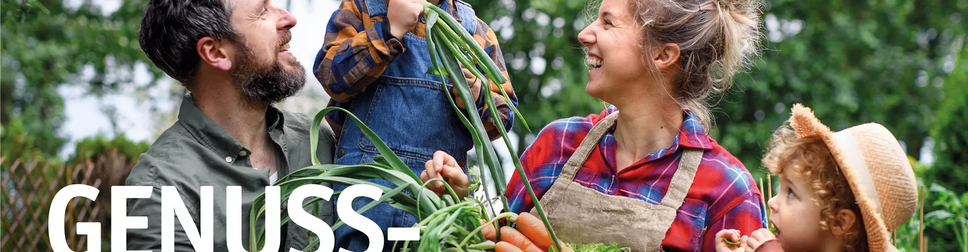 Dein Weg zur Gemüsepracht 🌱