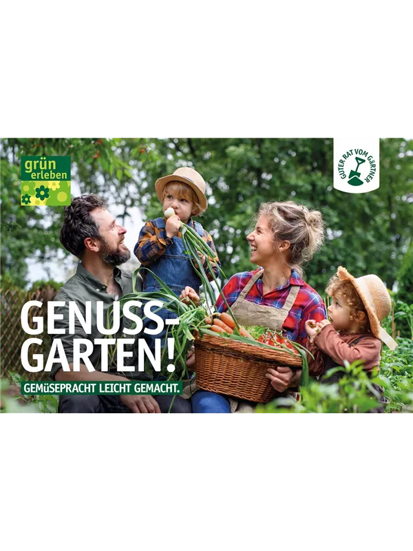 Dein Weg zur Gemüsepracht 🌱