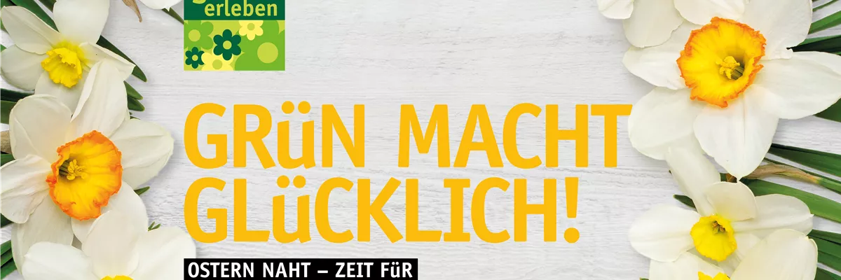 Bereit für die Osterfeiertage? 🐰 🐣