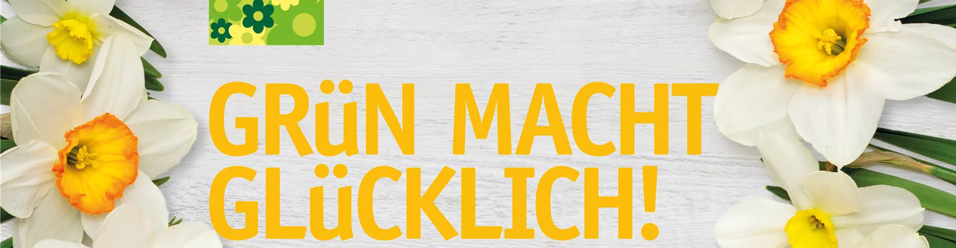 Bereit für die Osterfeiertage? 🐰 🐣