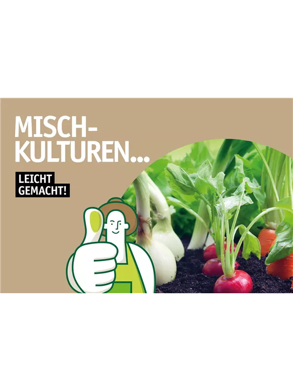 Flyer Mischkulturen 🥕🌶️