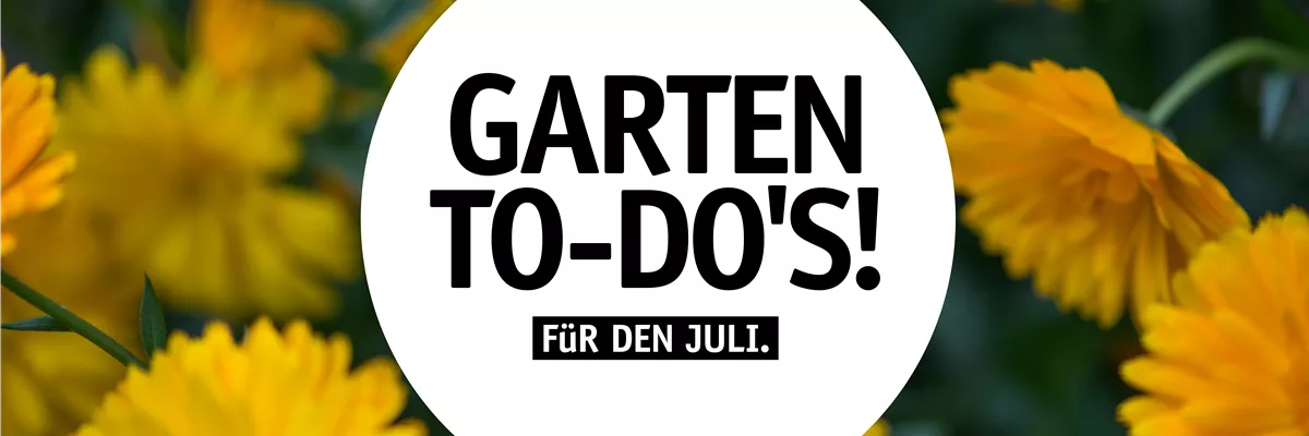 Garten To-Do's für den Juli🌱 