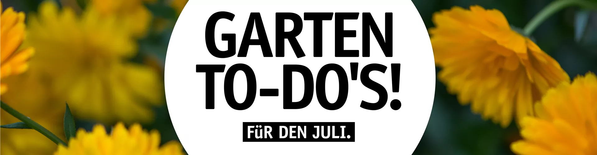 Garten To-Do's für den Juli🌱 