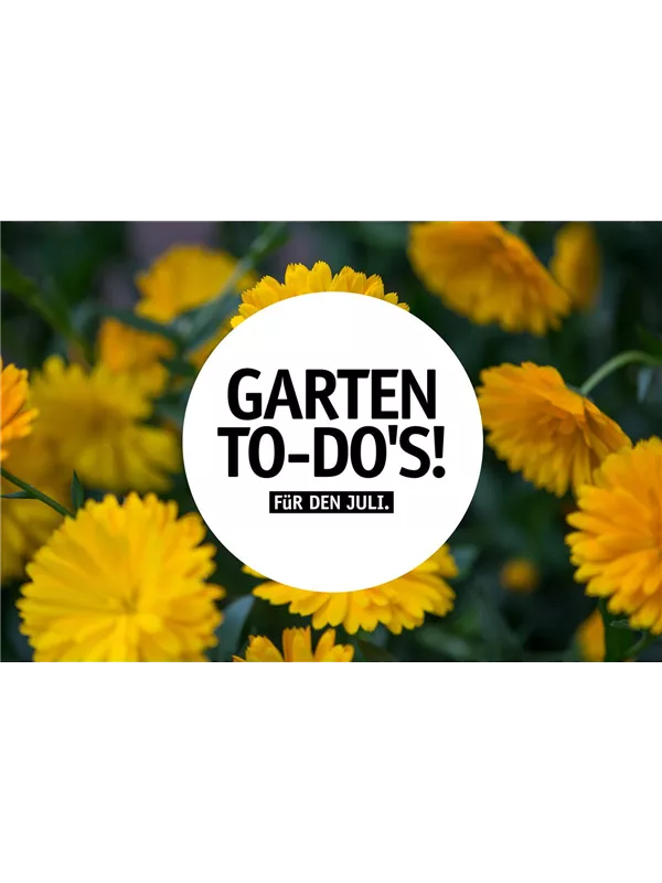 Garten To-Do's für den Juli🌱 