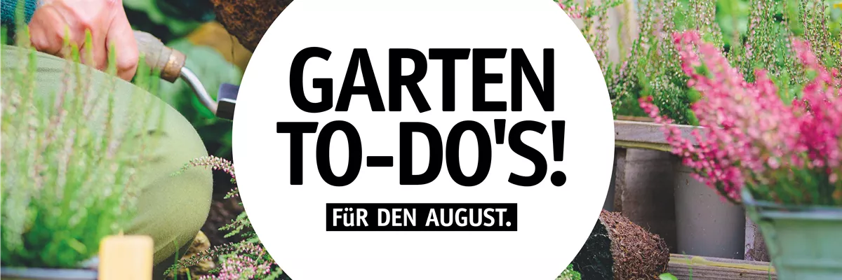Garten To-Do's für den August🌱 