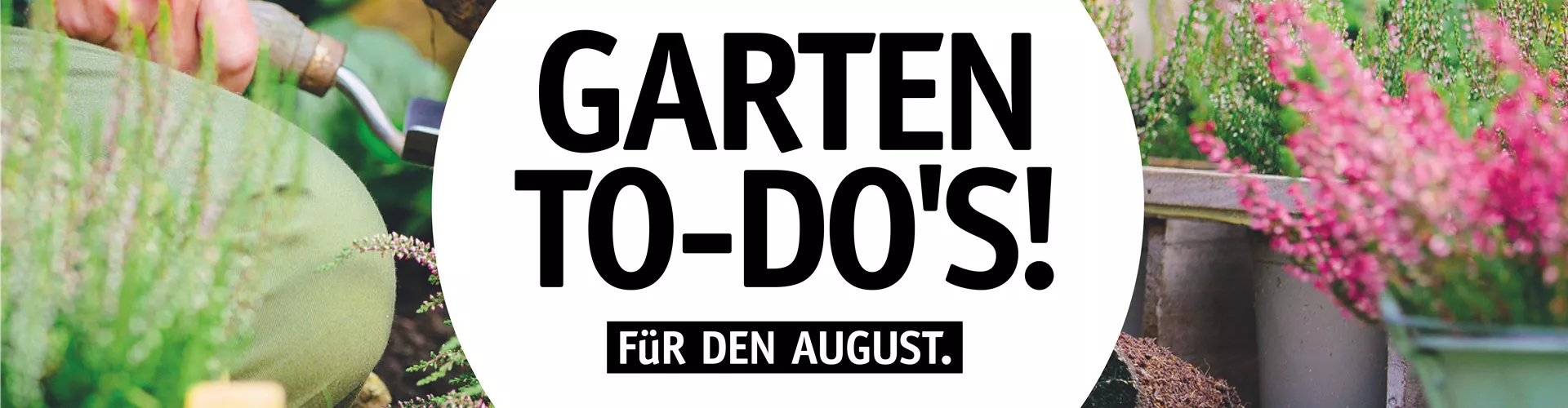Garten To-Do's für den August🌱 