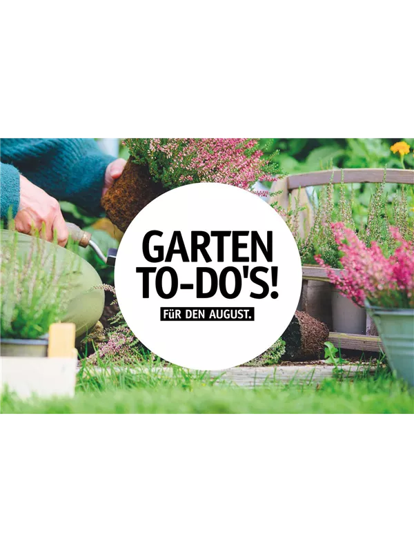 Garten To-Do's für den August🌱 