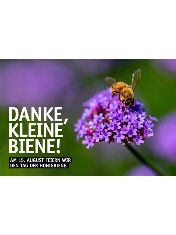 Tag der Honigbiene 🐝🌼