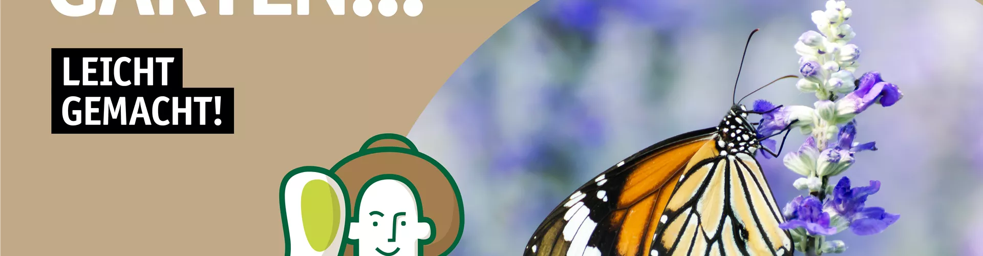 Flyer Insekten 🦋🐝