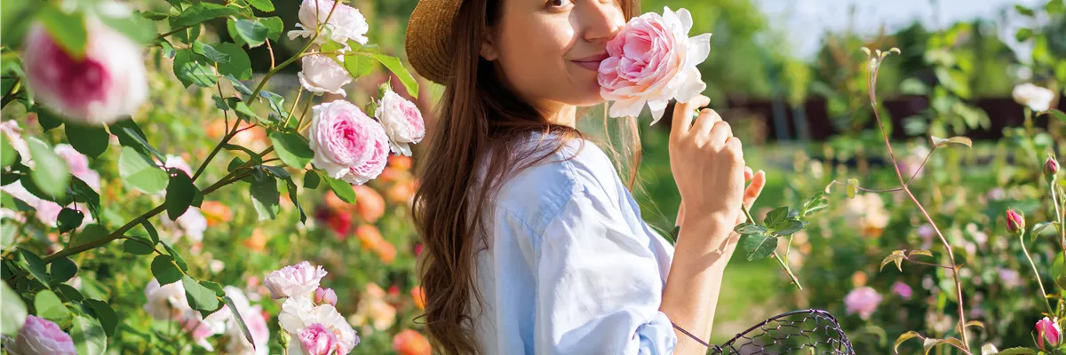 Eleganter Rosengarten 🌹 