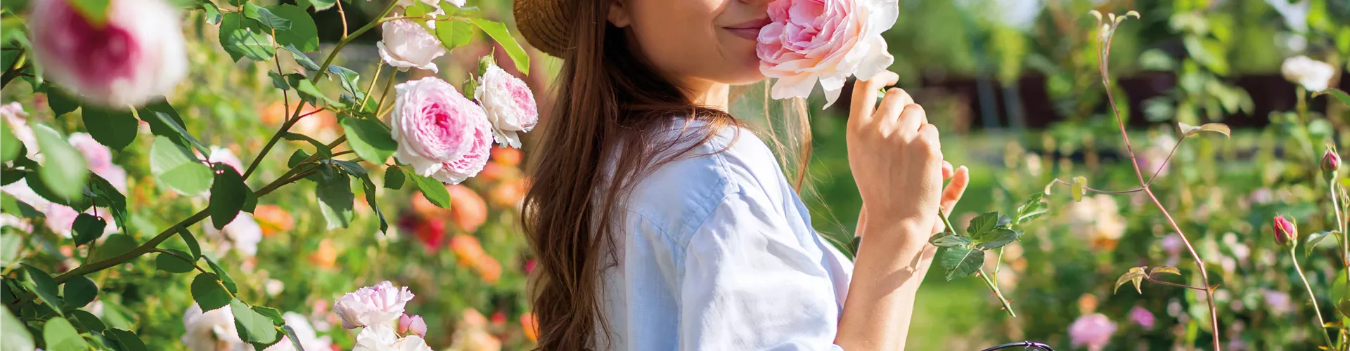 Eleganter Rosengarten 🌹 