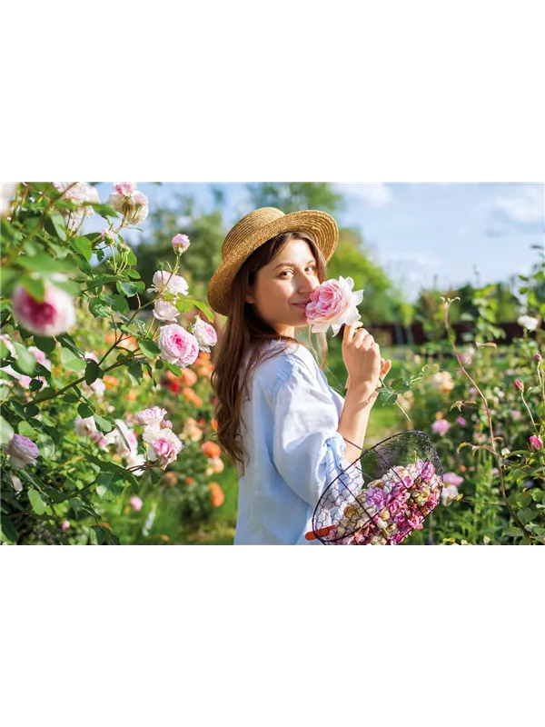 Eleganter Rosengarten 🌹 