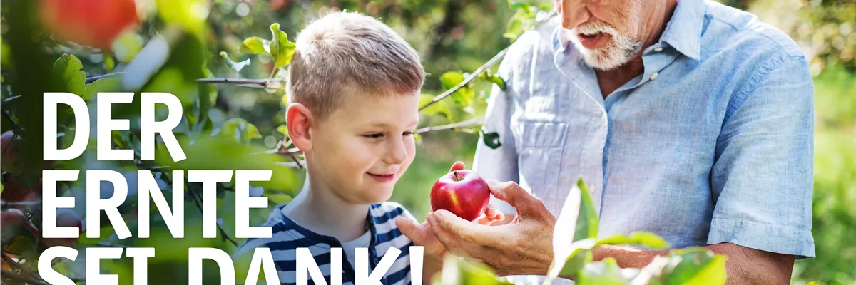 🍎 Erntedank: Die Fülle des Gartens