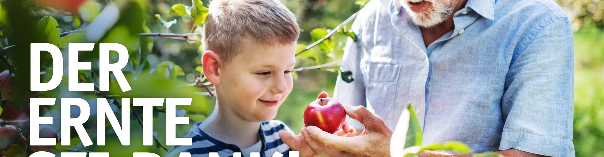 🍎 Erntedank: Die Fülle des Gartens