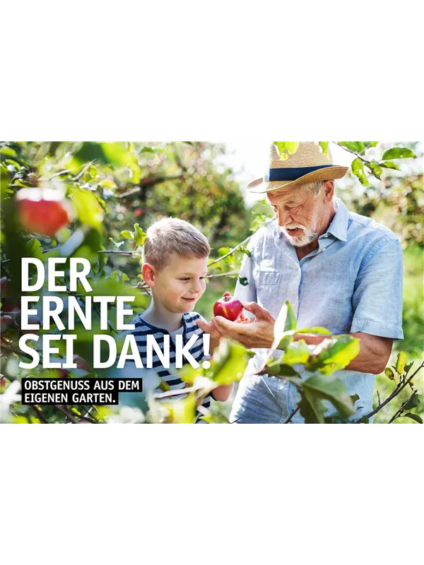 🍎 Erntedank: Die Fülle des Gartens