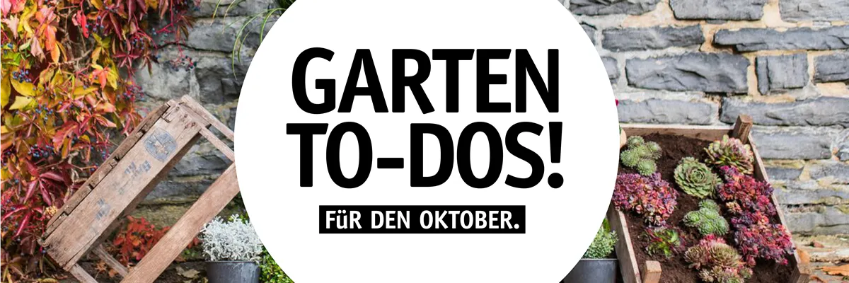 Garten To-Dos für den Oktober🌱 