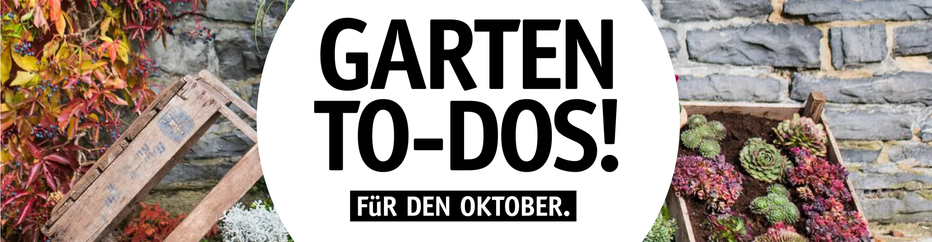 Garten To-Dos für den Oktober🌱 