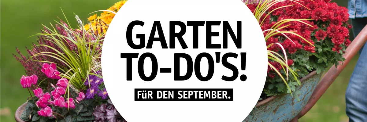 Garten To-Do’s für den September 🌱