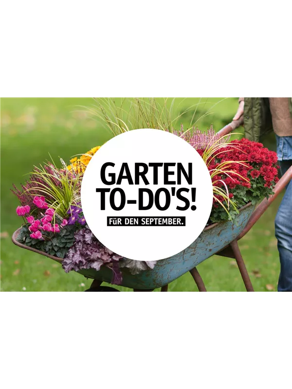 Garten To-Do’s für den September 🌱