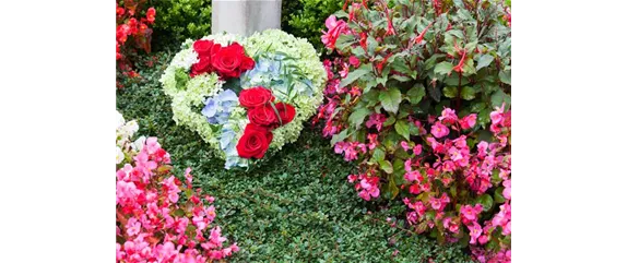 ALLERHEILIGEN - EIN FEIERTAG DER HOFFNUNG ALLERHEILIGEN - EIN FEIERTAG DER HOFFNUNG