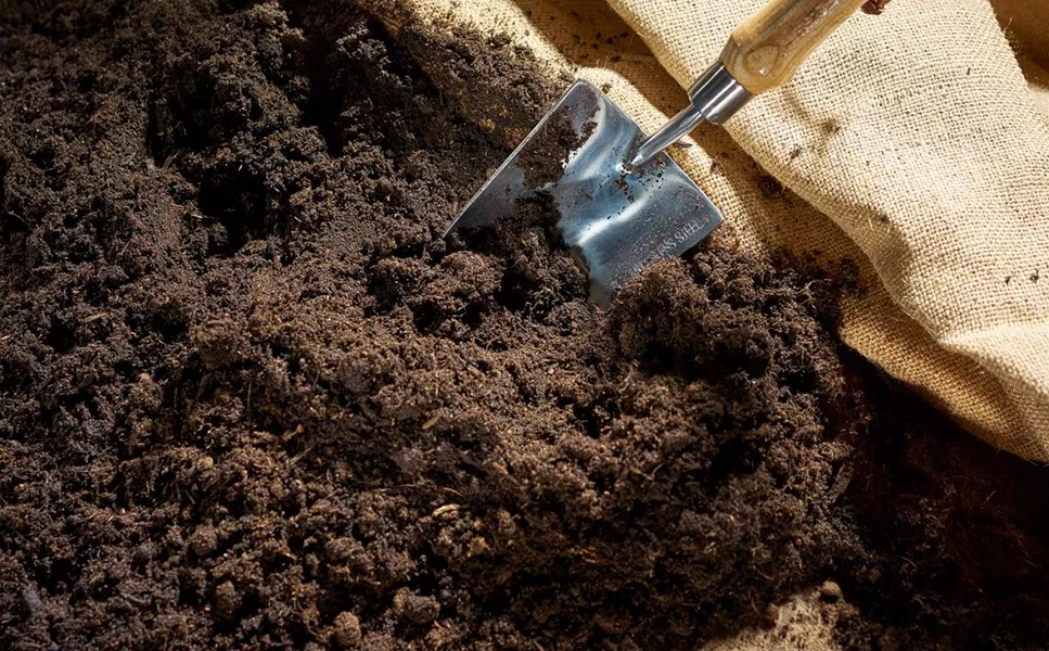 Bodenanalyse gratis - FÜr deine Pflanzen