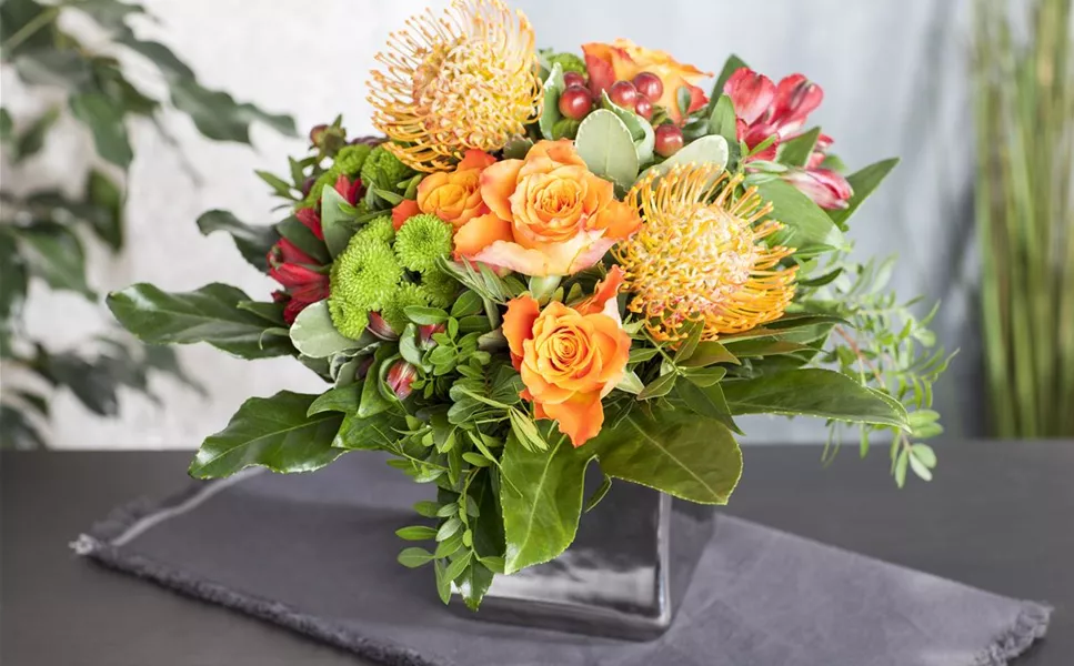 7 Tage Frischegarantie - Die richtige Pflege