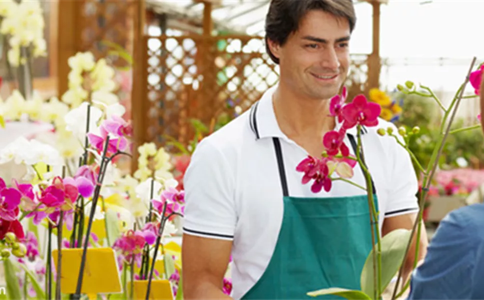 Bester Service - von A bis Z und Beratung durch Fachpersonal auf über 10.000 qm