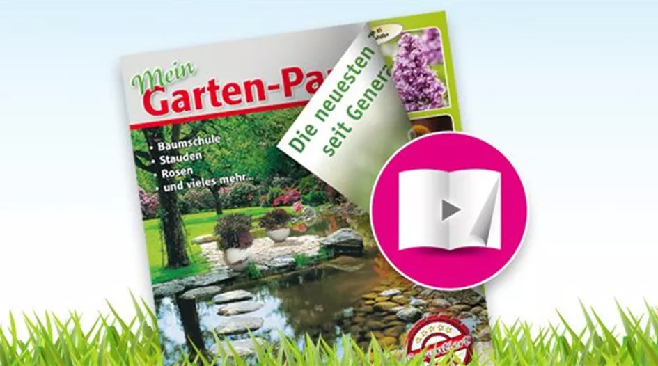 csm_Kachel_Produktkatalog_2spaltig_403596c6d3.jpg