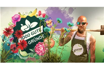 CHRISTROSEN PFLANZEN UND PFLEGEN