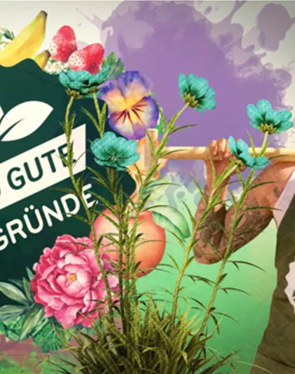 DIE SCHöNE AMARYLLIS.