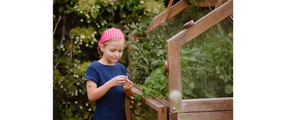 HOCHBEET ANLEGEN - TIPPS & TRICKS