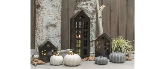 EIN KUNTERBUNTER HERBST! EIN KUNTERBUNTER HERBST!