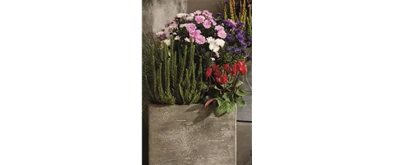 EIN KUNTERBUNTER HERBST! EIN KUNTERBUNTER HERBST!