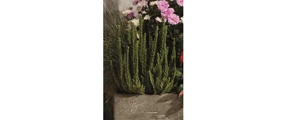 EIN KUNTERBUNTER HERBST! EIN KUNTERBUNTER HERBST!