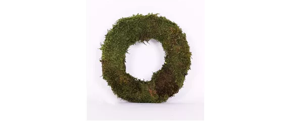 EIN KUNTERBUNTER HERBST! EIN KUNTERBUNTER HERBST!