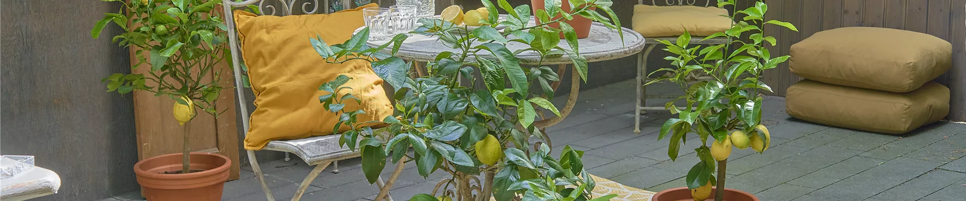 EIN GANZ BESONDERER DUFT LIEGT IN DER FRüHLINGSLUFT!