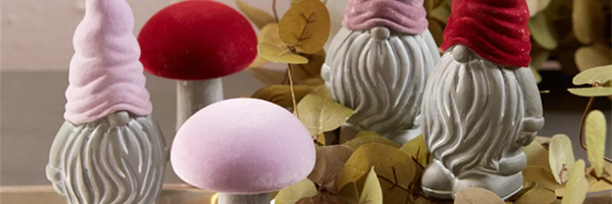 WIE GEHT...FARBENPRACHT?